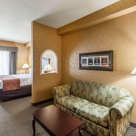 Comfort Suites Alamo-River Walk San Antonio Eksteriør billede