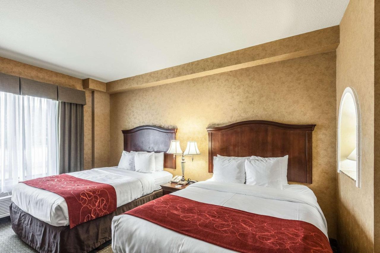 Comfort Suites Alamo-River Walk San Antonio Eksteriør billede