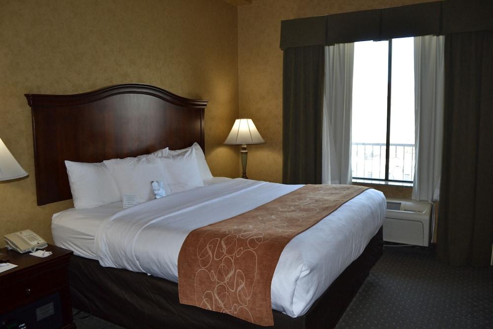 Comfort Suites Alamo-River Walk San Antonio Eksteriør billede